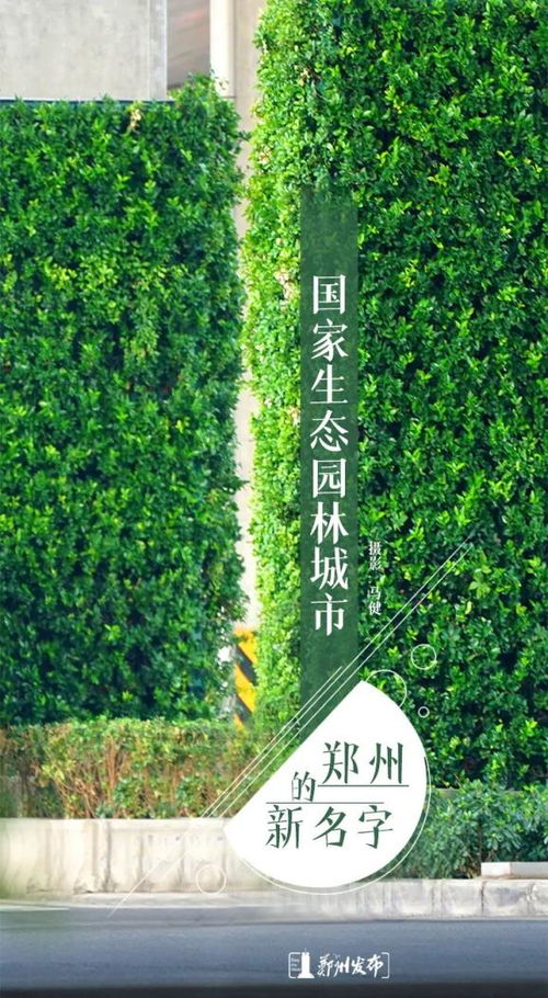 綠綠綠綠綠綠綠 鄭州榮膺 國(guó)家生態(tài)園林城市 稱號(hào)